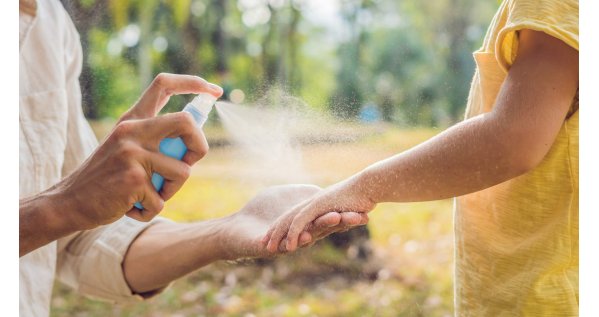 Zanzare addio: scopri le soluzioni più efficaci per l’estate Zanzare addio: scopri le soluzioni più efficaci per l’estate