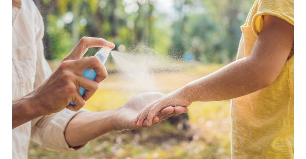Zanzare addio: scopri le soluzioni più efficaci per l’estate