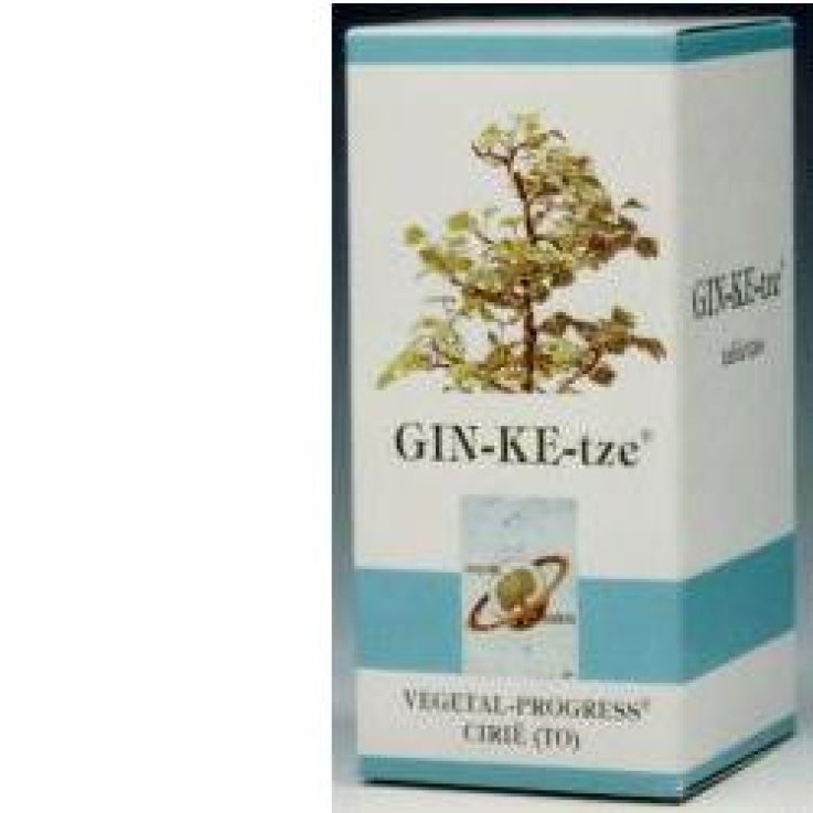 GINKETZE BIO 80TAV 600MG GINKETZE BIO 80TAV 600MG