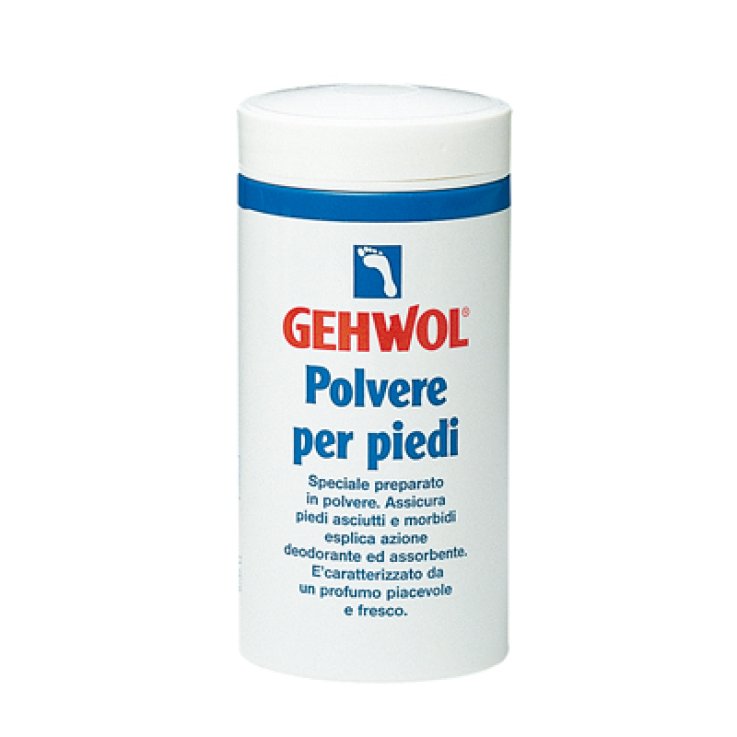 Gehwol Polvere Piedi 100g Gehwol Polvere Piedi 100g