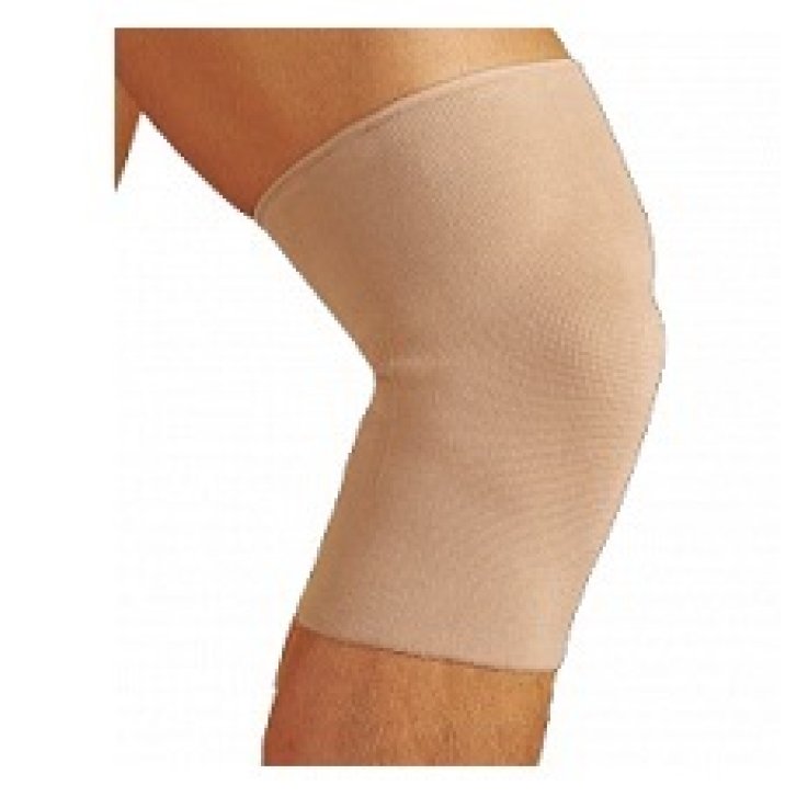 Gibaud Ginocch Sportiva Camel1 Gibaud Ginocch Sportiva Camel1