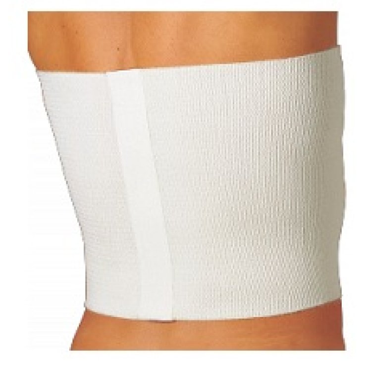 Gibaud Cint Piuma 28cm 2 Gibaud Cint Piuma 28cm 2