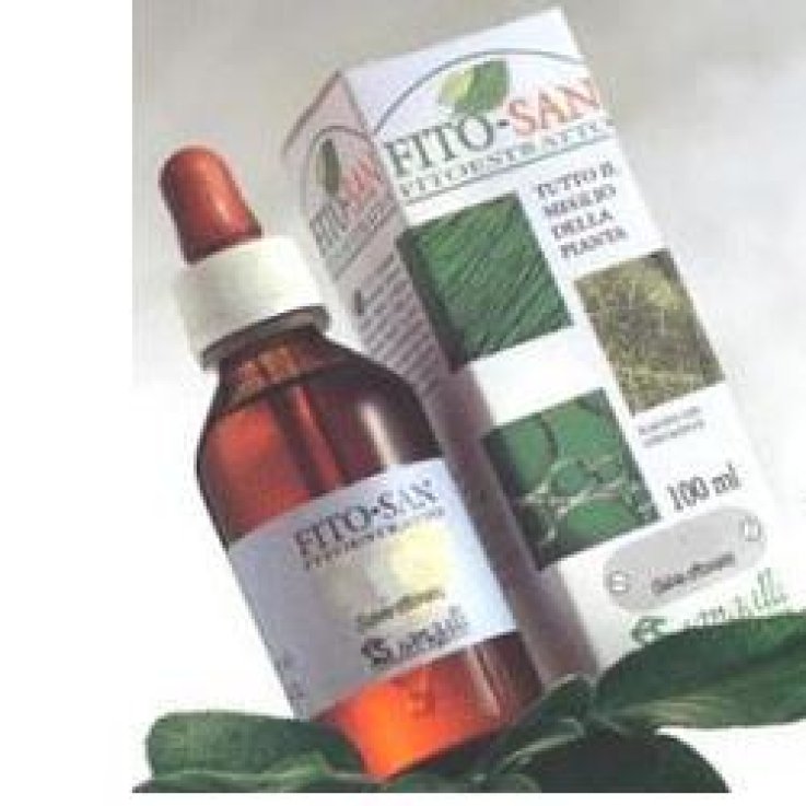 Equiseto Fronde Ste 100ml Tm Equiseto Fronde Ste 100ml Tm