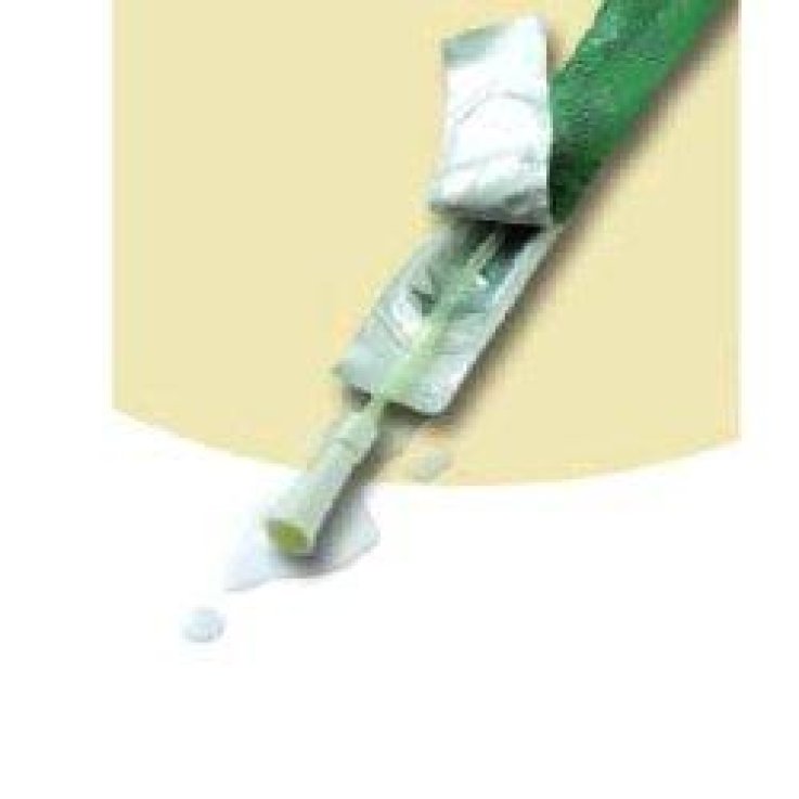SPEEDICATH U NEL CH10 30PZ SPEEDICATH U NEL CH10 30PZ