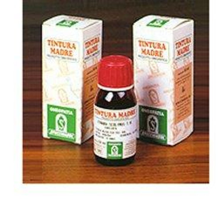 ARTIGLIO DEL DIAVOLO 35 TM50ML ARTIGLIO DEL DIAVOLO 35 TM50ML