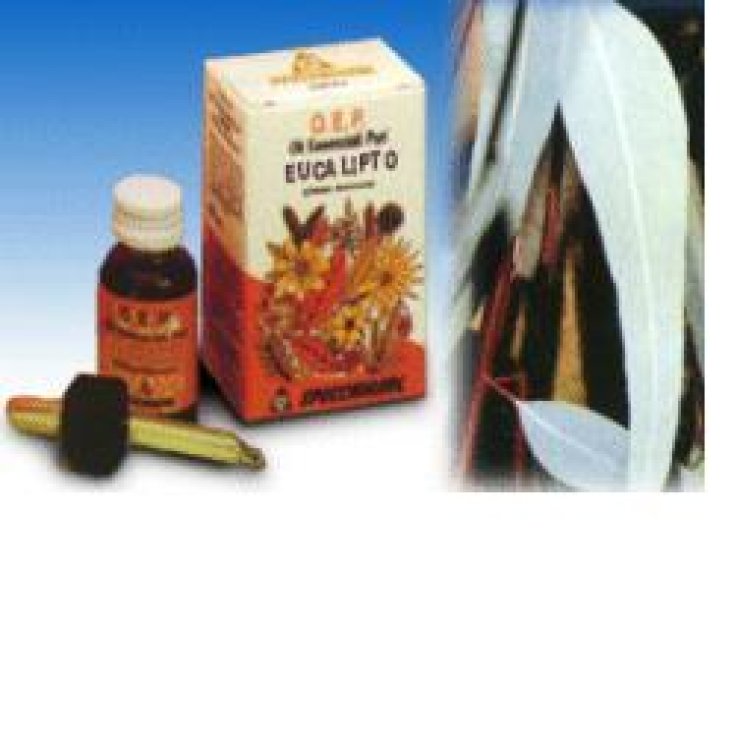 Eucalipto Olio Essenziale 10ml Eucalipto Olio Essenziale 10ml