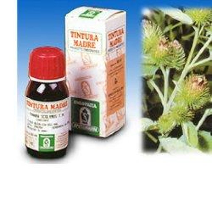Bardana 50ml Tm Bardana 50ml Tm