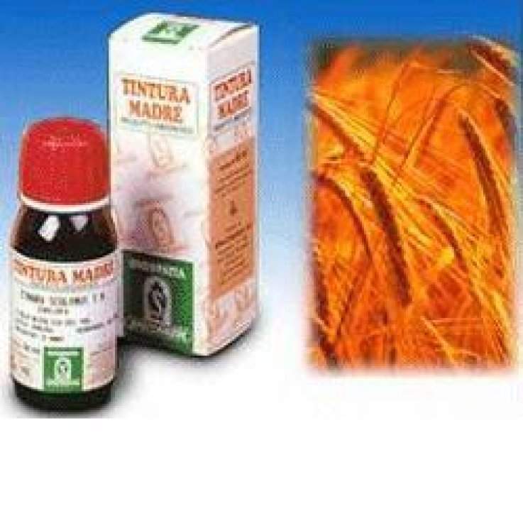 Avena Sativa 3 50ml Tm Avena Sativa 3 50ml Tm