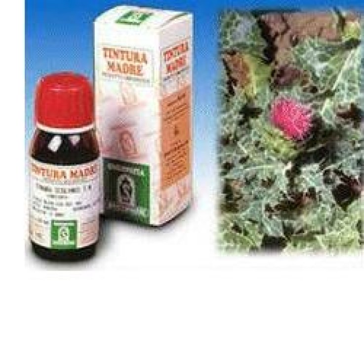 Cardo Mariano 6 50ml Tm Cardo Mariano 6 50ml Tm