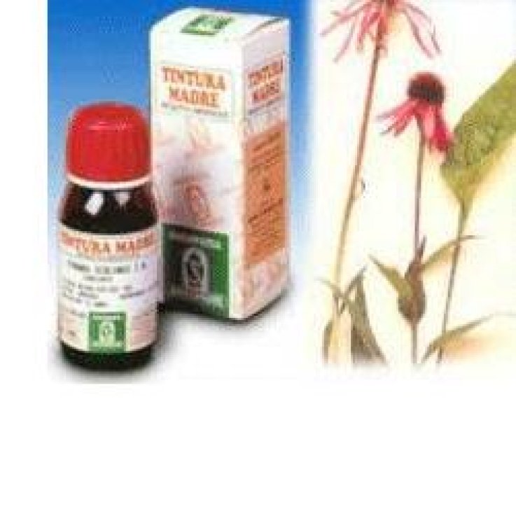 Echinacea 59 50ml Tm Echinacea 59 50ml Tm