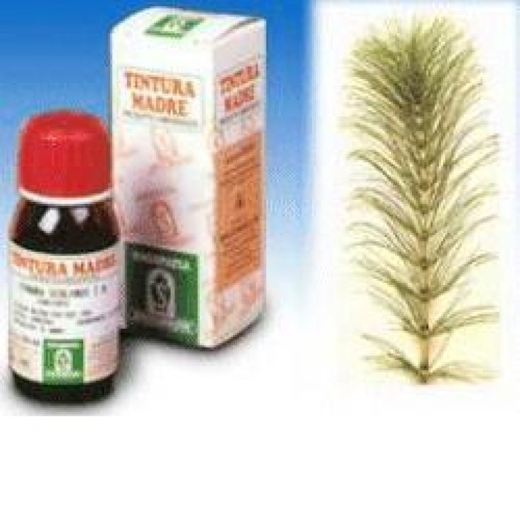 Equiseto 12 50ml Tm Equiseto 12 50ml Tm
