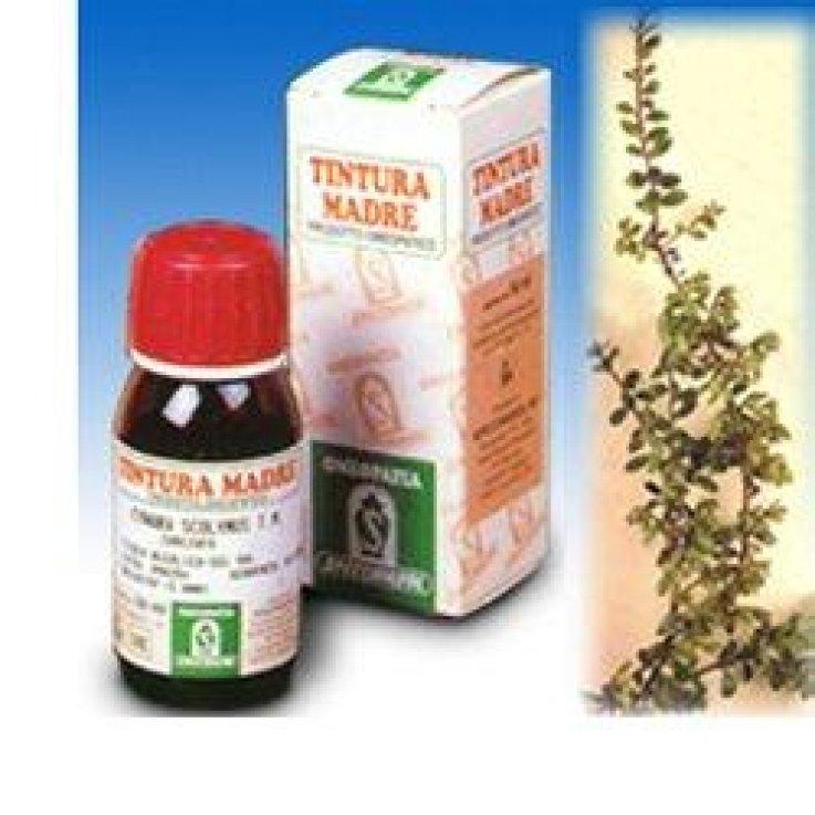 Uva Ursina 30 50ml Tm Uva Ursina 30 50ml Tm