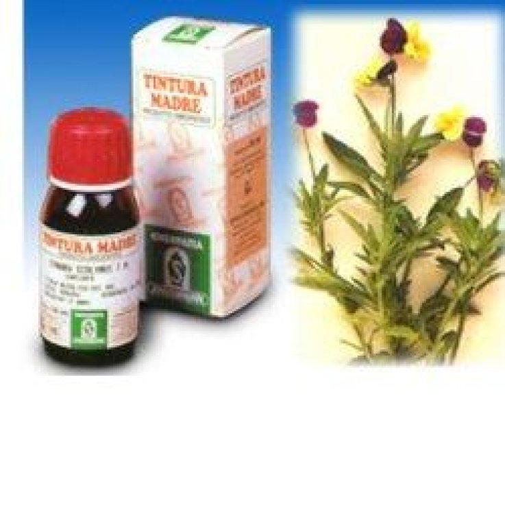 Viola Del Pensiero 32 50ml Tm Viola Del Pensiero 32 50ml Tm