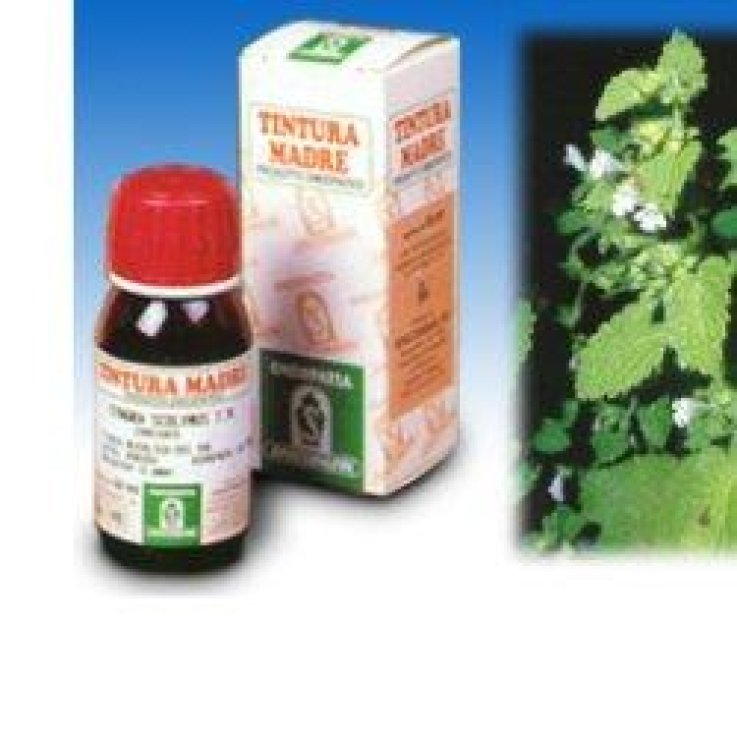 Melissa 17 50ml Tm Melissa 17 50ml Tm