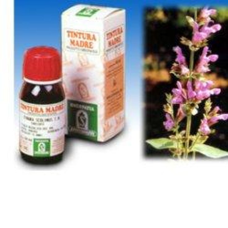 Salvia 25 50ml Tm Salvia 25 50ml Tm