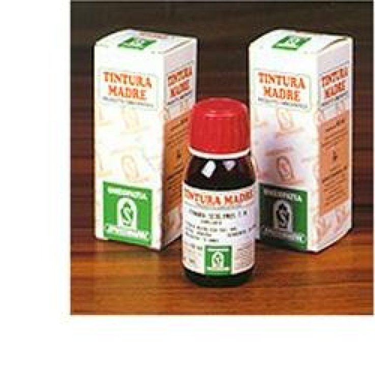 Pilosella 20 50ml Tm Pilosella 20 50ml Tm