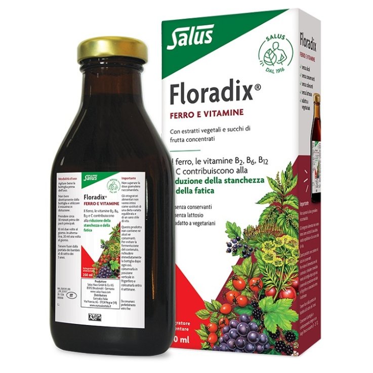 Floradix 250ml Floradix 250ml