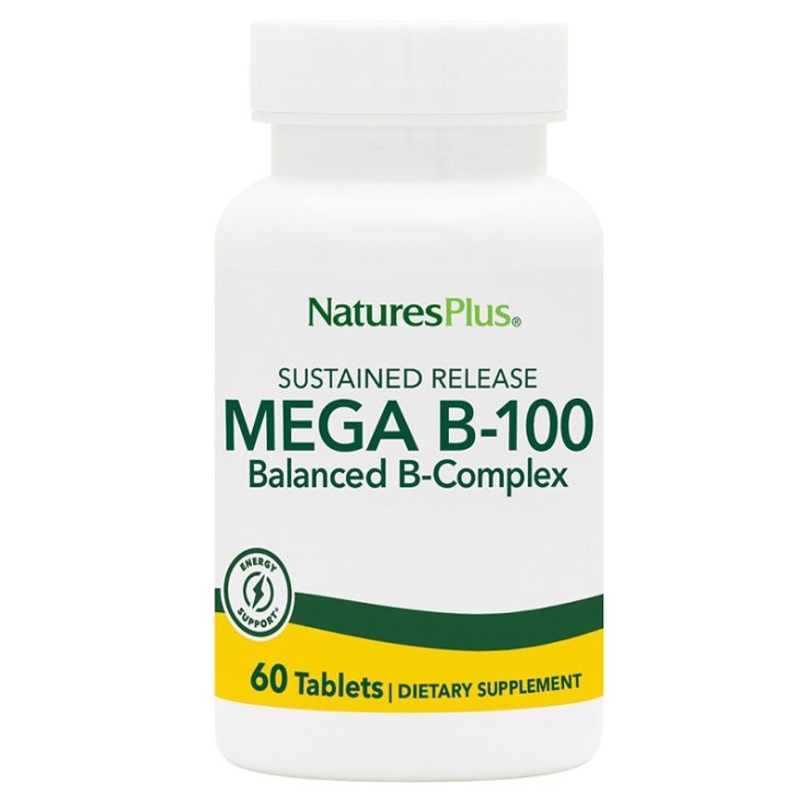 Mega B100 60tav Mega B100 60tav