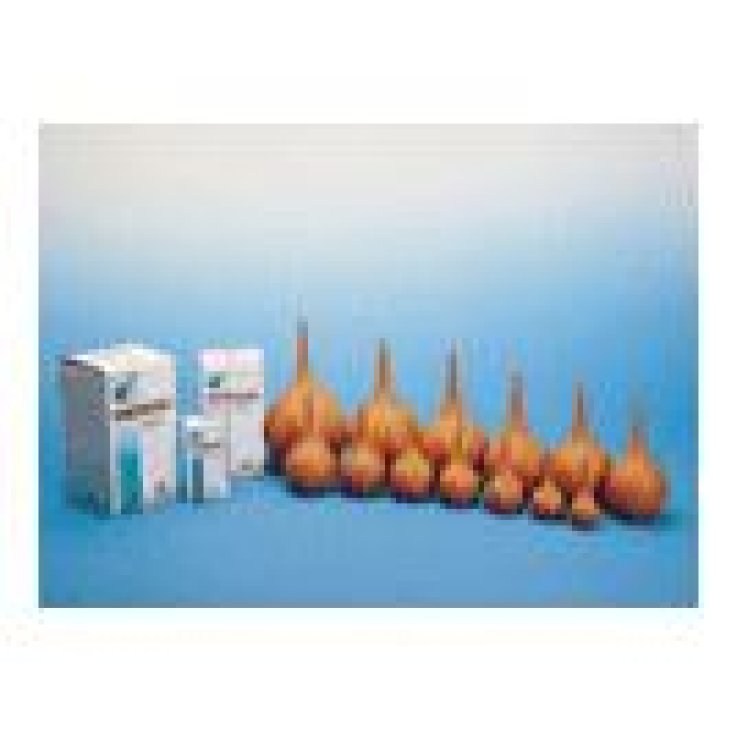SCHIZZETTO GOMMA 10 260ML
