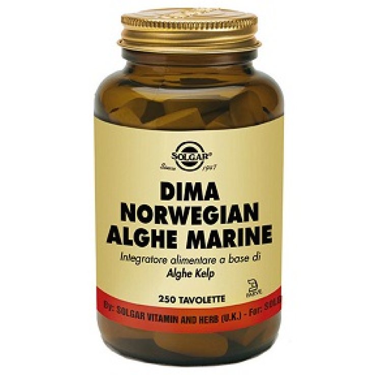 DIMA NORWEGIAN ALGHE MA 250TAV DIMA NORWEGIAN ALGHE MA 250TAV