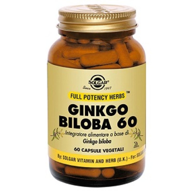 Ginkgo Biloba 60 60vegicps Ginkgo Biloba 60 60vegicps