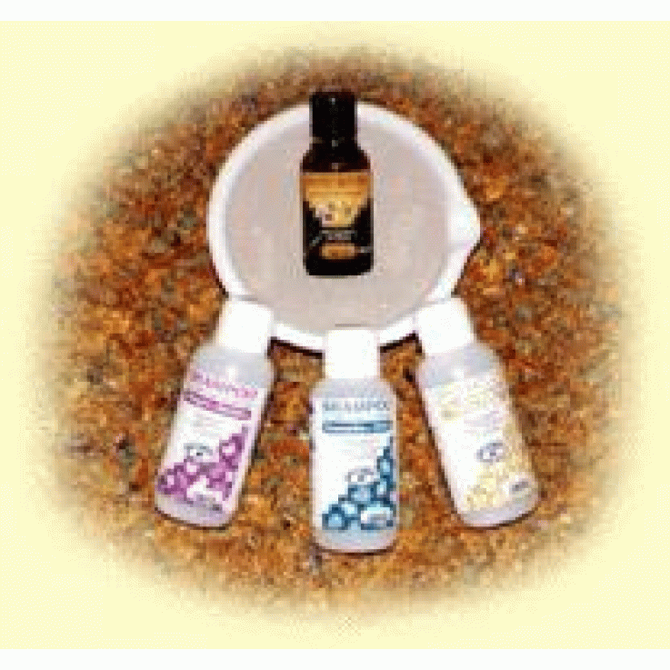 SHAMPOO CAP GRAS/FORFORA 250ML SHAMPOO CAP GRAS/FORFORA 250ML