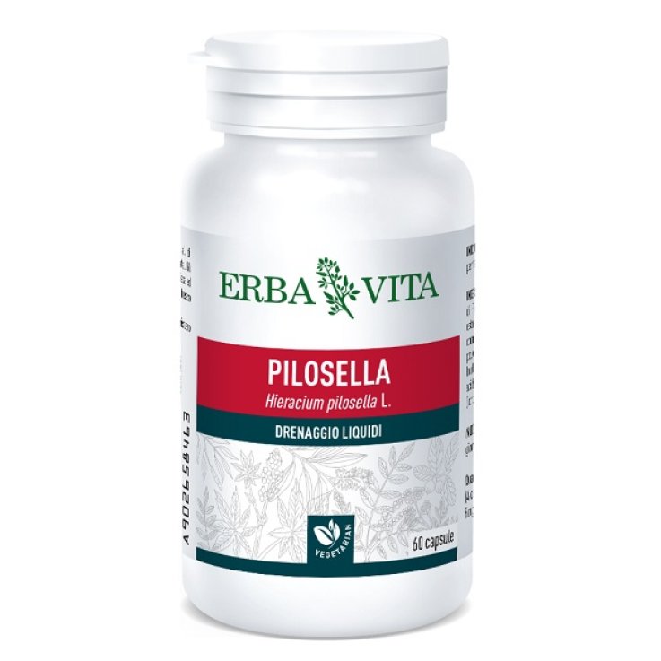PILOSELLA 60CPS 400MG PILOSELLA 60CPS 400MG