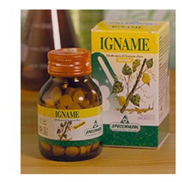 Igname Erbe 60tav Igname Erbe 60tav