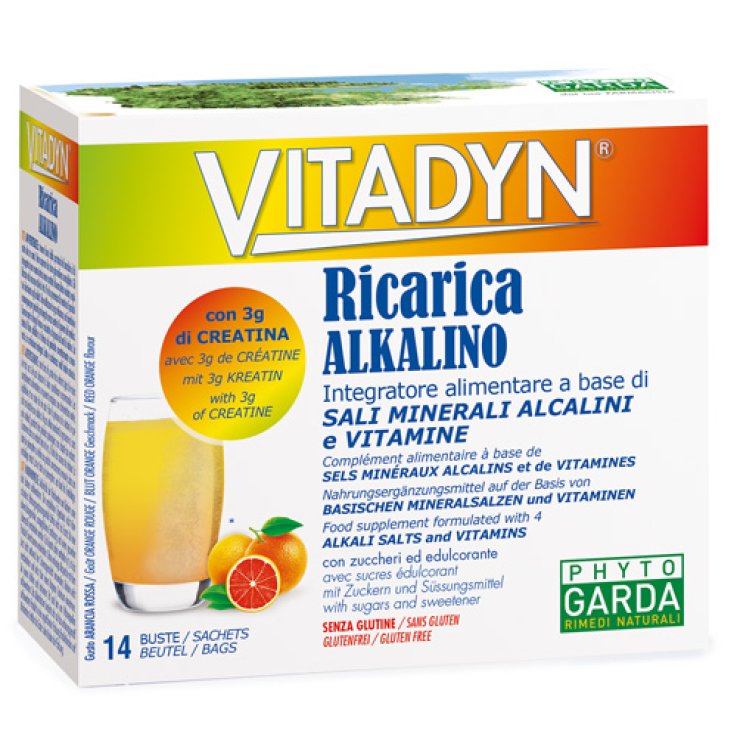 Vitadyn Ricarica Alkalin14bust Vitadyn Ricarica Alkalin14bust