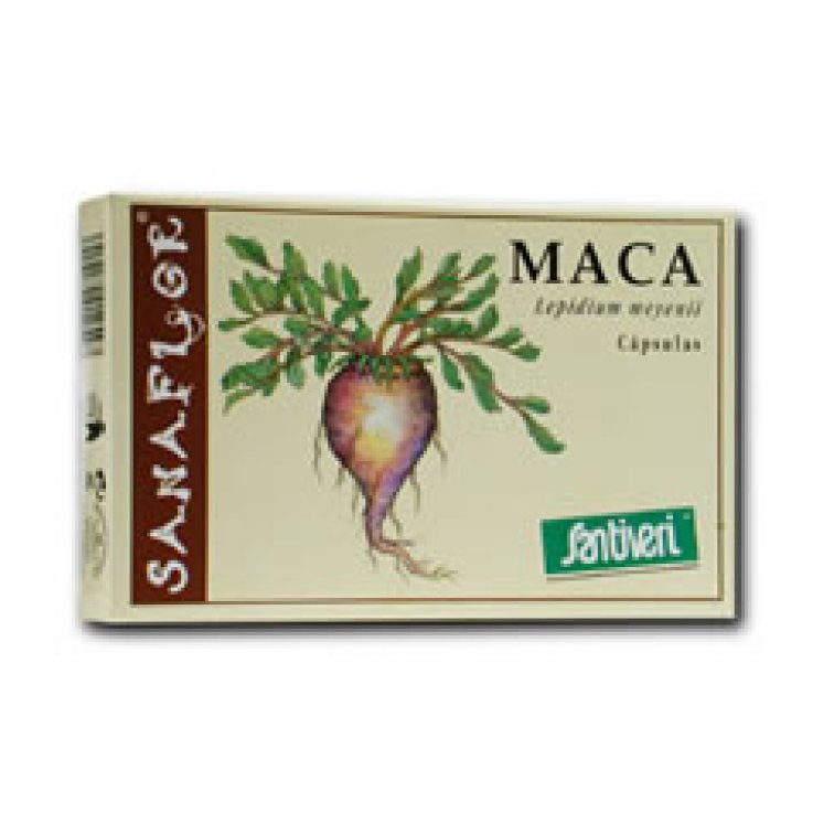Maca 60cps 26g Stv Maca 60cps 26g Stv