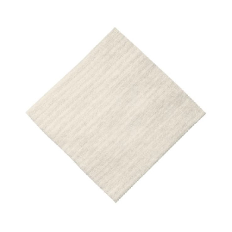 Algisite M Medic 10x10cm 10pz