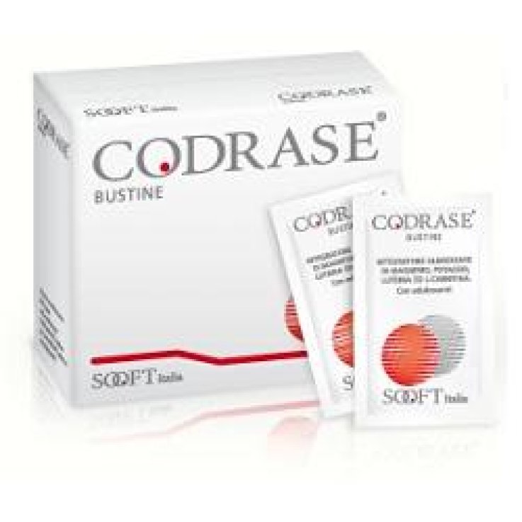 CODRASE 20BUST CODRASE 20BUST
