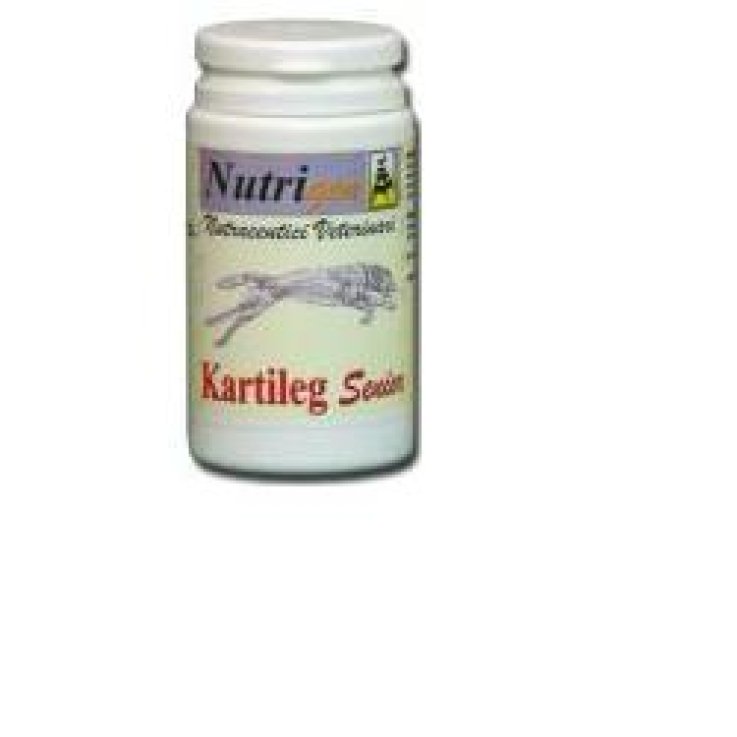 Kartileg Senior 120tav Nutrige
