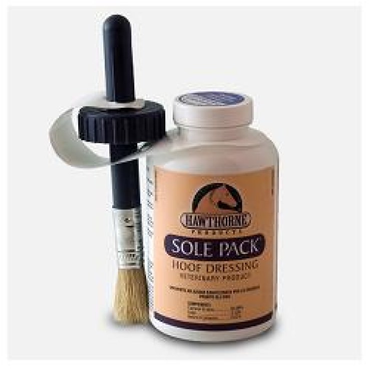 SOLE PACK 473 ML SOLE PACK 473 ML