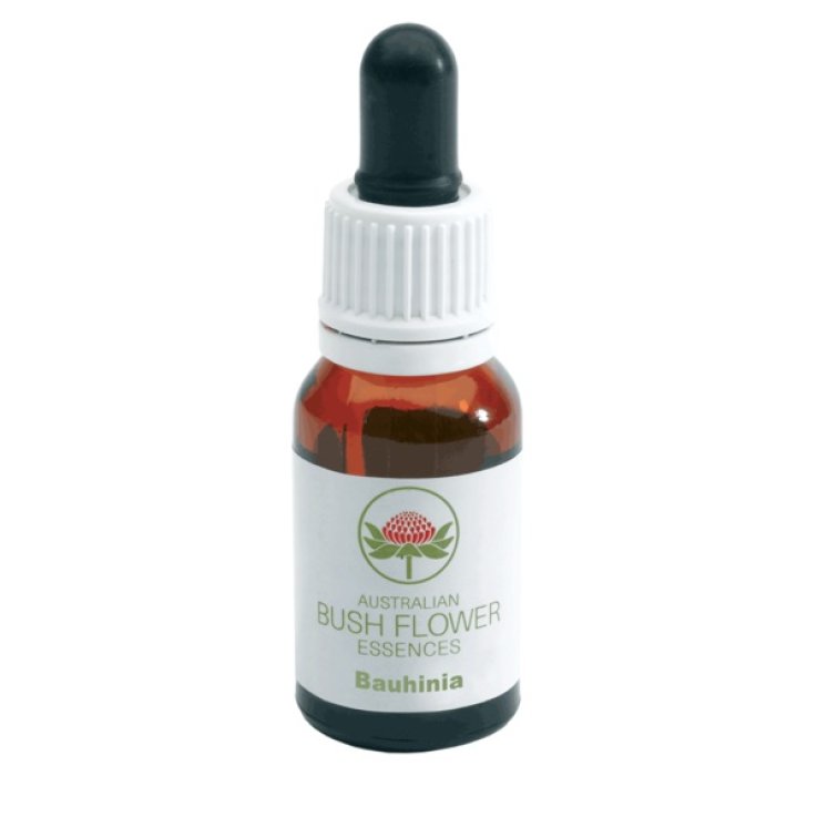 BAUHINIA AUSTRALIAN 15ML BAUHINIA AUSTRALIAN 15ML