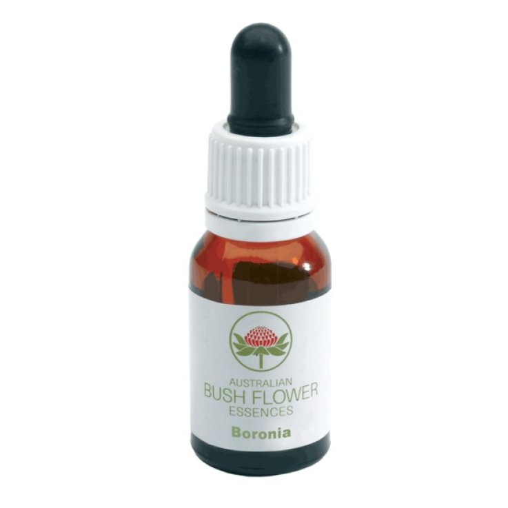 BORONIA AUSTRALIAN 15ML GTT BORONIA AUSTRALIAN 15ML GTT