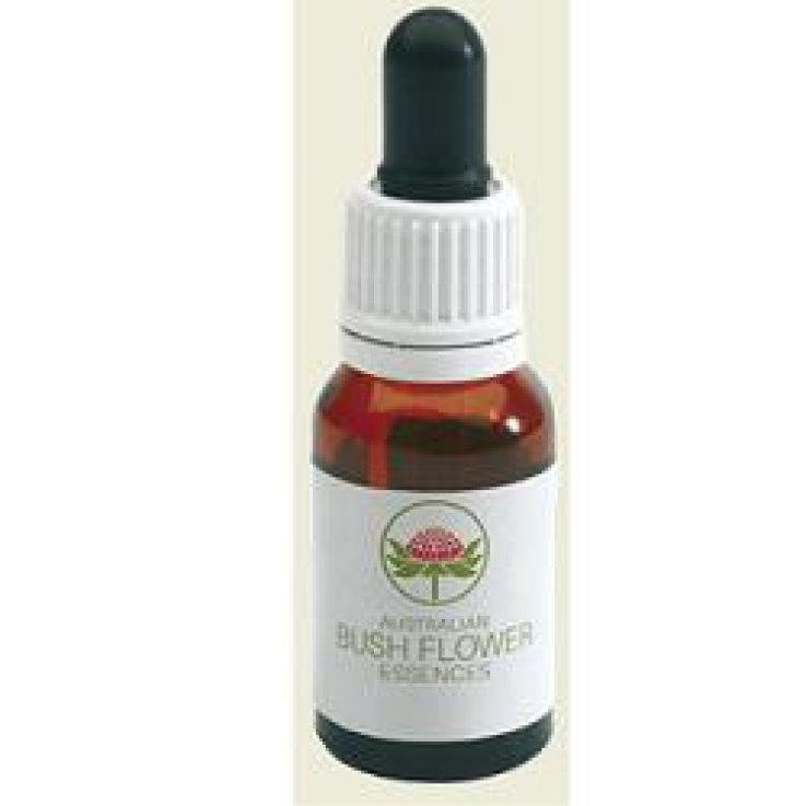 OLD MAN BANKSIA AUSTR 15ML GTT OLD MAN BANKSIA AUSTR 15ML GTT
