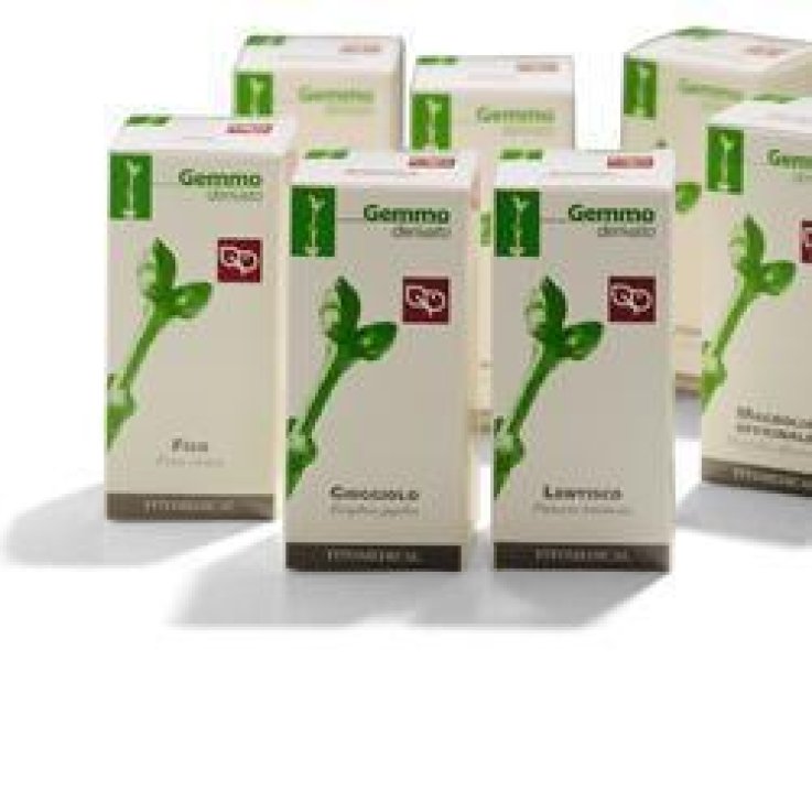 FICO MG 200ML FICO MG 200ML