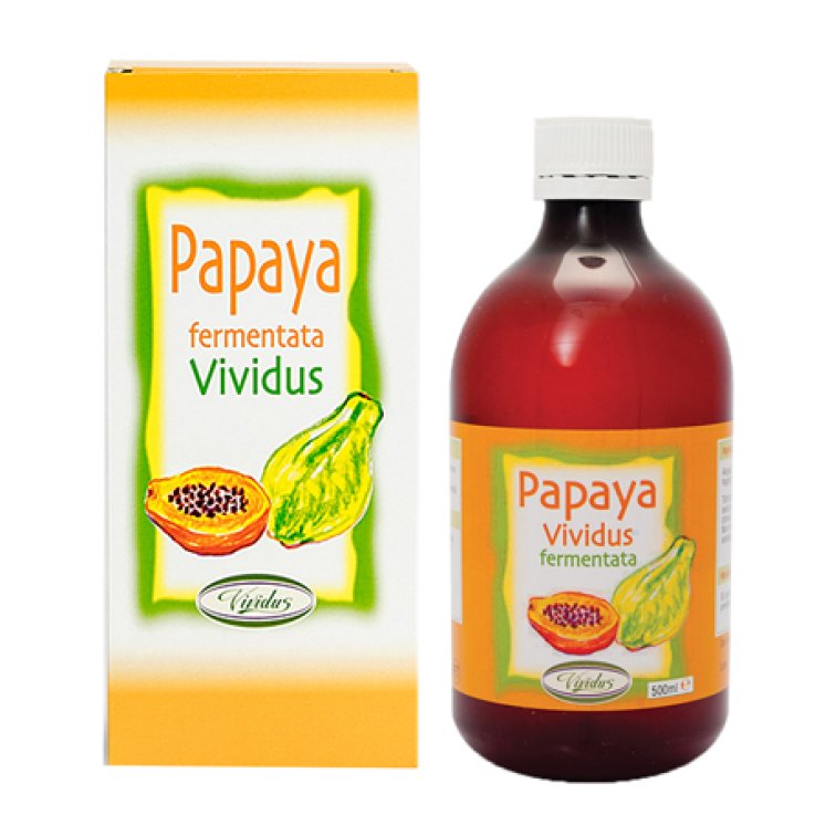 Papaya Fermentata 500ml Papaya Fermentata 500ml
