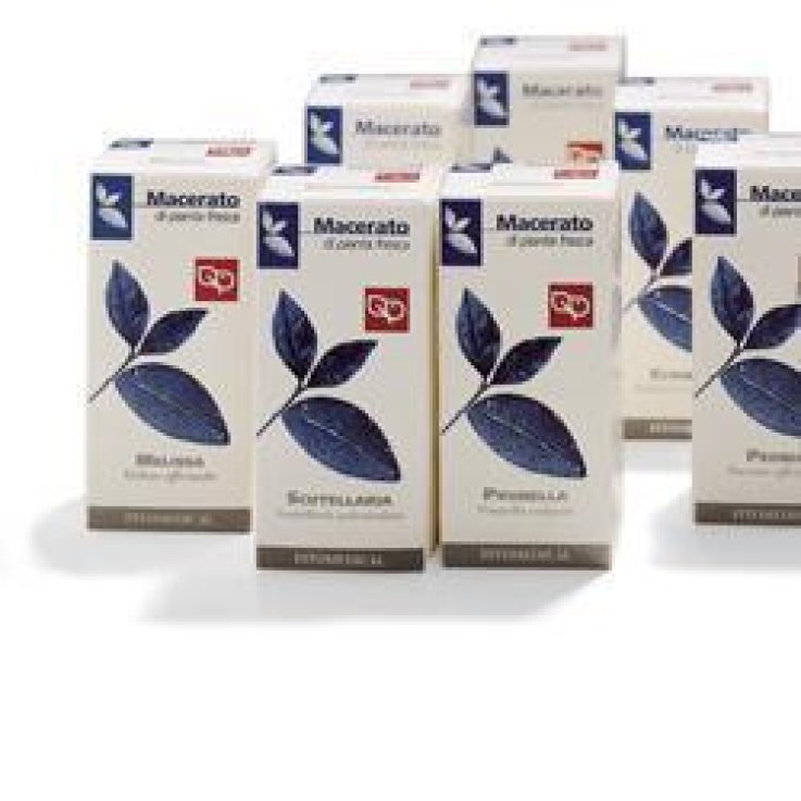 VERBENA TM 50ML VERBENA TM 50ML