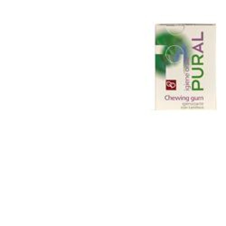 PURAL CHEWING GUM IG 14G PURAL CHEWING GUM IG 14G