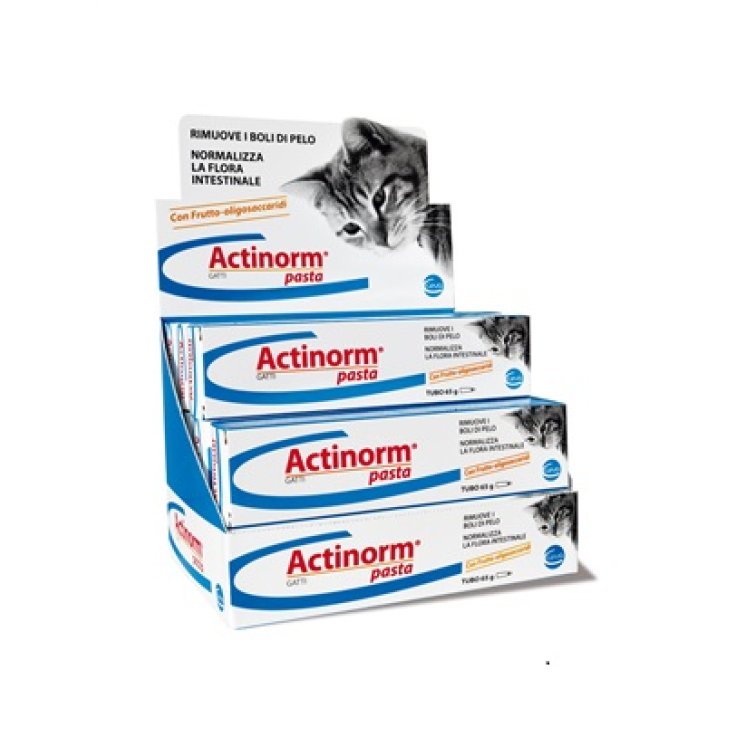 Actinorm Pasta Gatti 65g Actinorm Pasta Gatti 65g