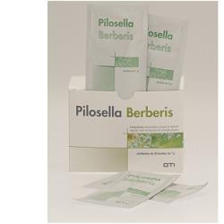 Pilosella Berberis 30bust Pilosella Berberis 30bust