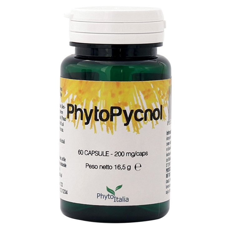 Phytopycnol 60cps Phytopycnol 60cps