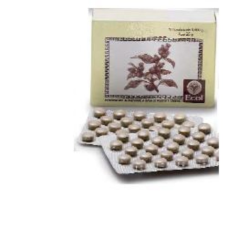 Cimicifuga 50tav 500mg Cimicifuga 50tav 500mg