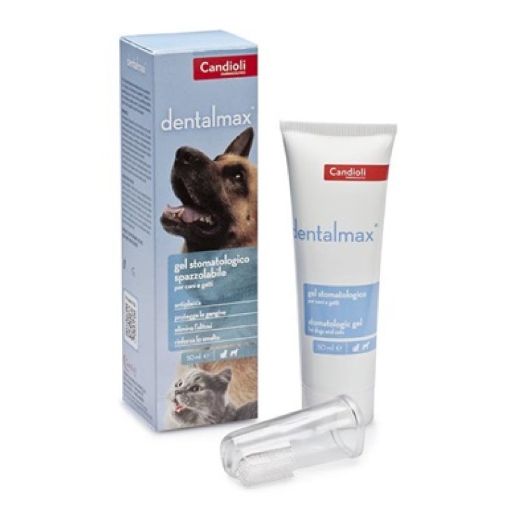 Dentalmax Gel Stomatologico 50 Dentalmax Gel Stomatologico 50