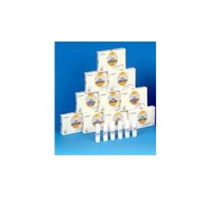Nomabit White Chestnut Gl 6g Nomabit White Chestnut Gl 6g