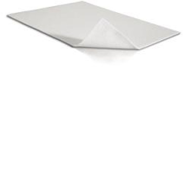 MEPILEX TRANSFER MED10X12CM 5P MEPILEX TRANSFER MED10X12CM 5P