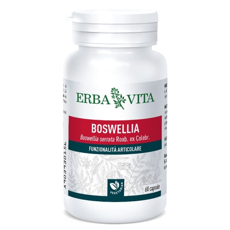 Boswellia Serrata 60cps 400mg Boswellia Serrata 60cps 400mg
