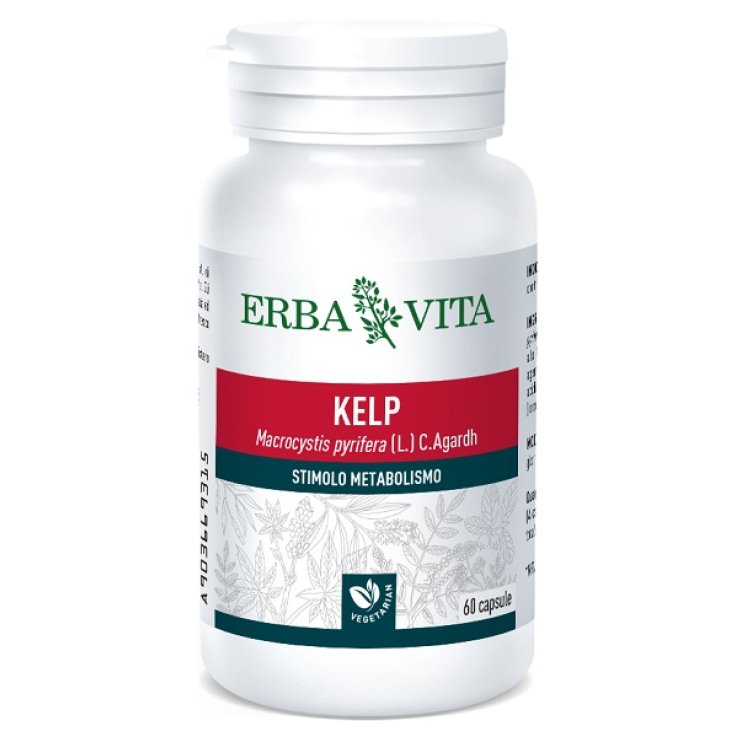 KELP 60CPS 500MG KELP 60CPS 500MG